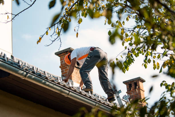 Best Roof Waterproofing Services  in Porter, IN