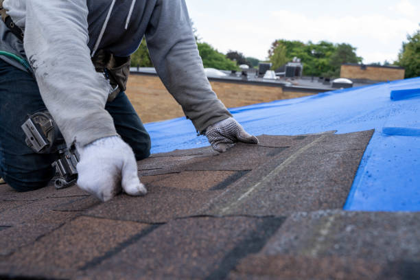 Best Flat Roof Repair Services  in Porter, IN