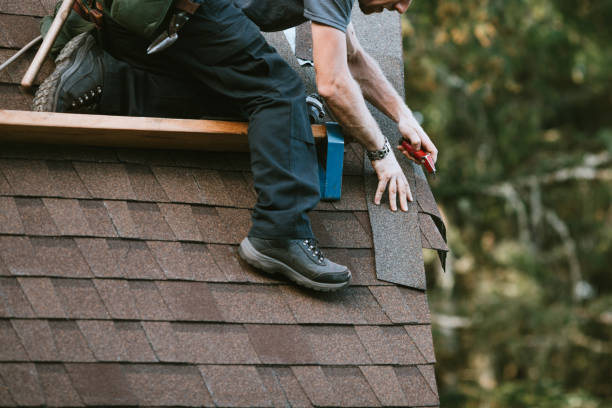 Best Metal Roofing Contractor  in Porter, IN
